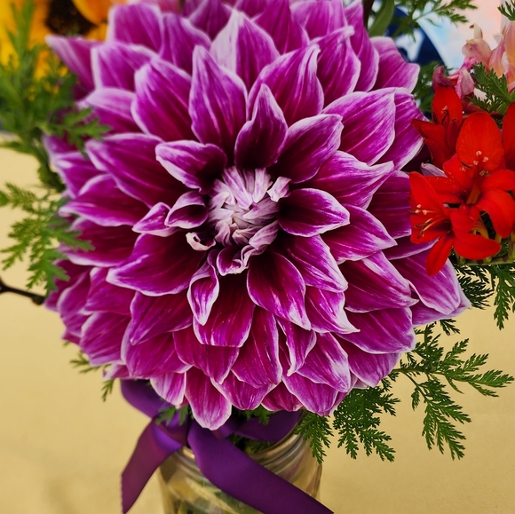 ADVERTISEMENT *   Check out our Coach Fav Reddds on Sale!!! - Picture 8 of 12